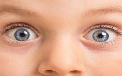 9 Fun Eye Facts in Observance of World Sight Day